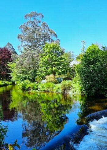 Mount Usher Gardens Avoca