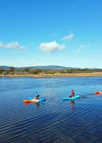 Corporate Days Out for Team Building