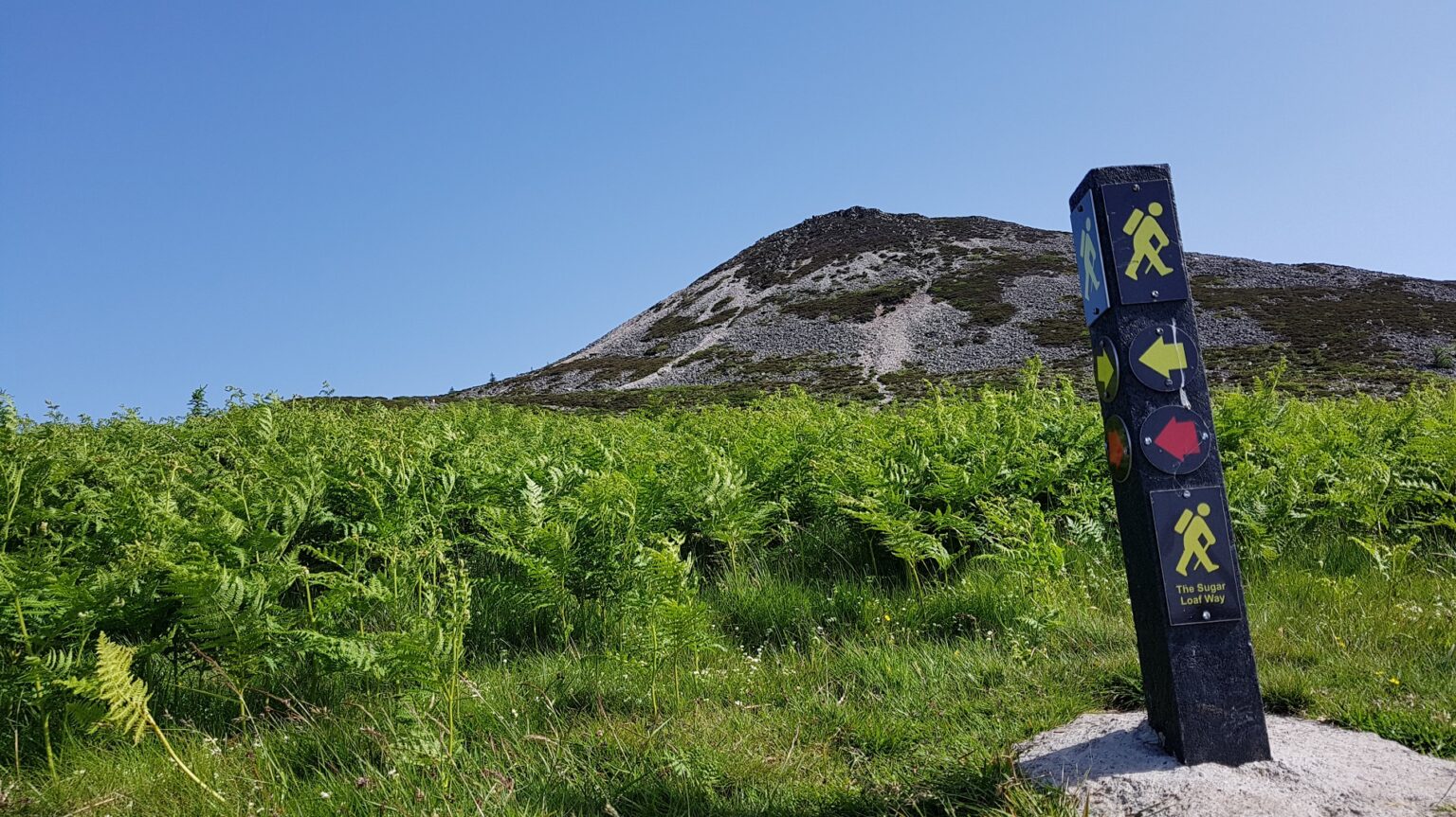 Sugarloaf Loop The Sugarloaf Loop Trail - Wicklow County Tourism