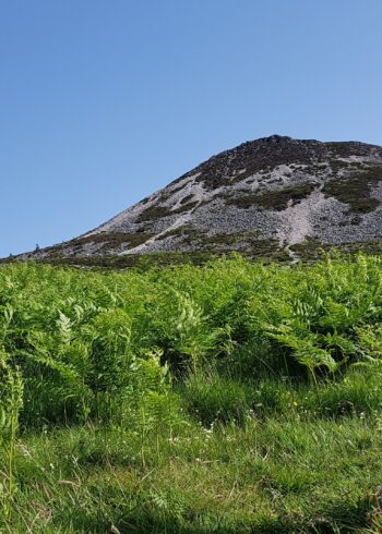 Sugarloaf Way