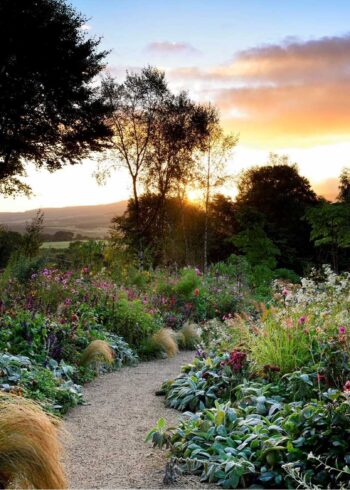 Wicklow Hidden Gardens You Must Experience