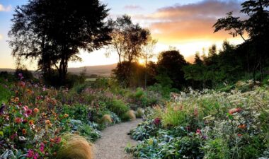 huntingbrook-gardens1