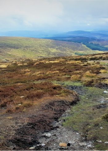 Welcome To Wicklow, The Garden Of Ireland - Wicklow County Tourism