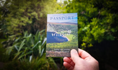 wicklow-passport-hand