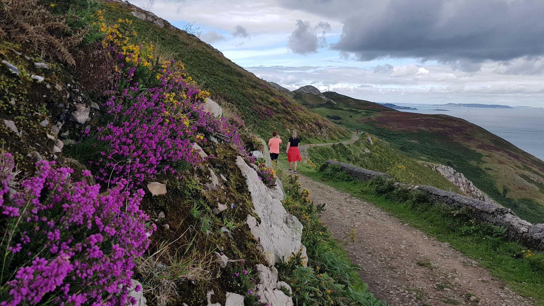 Bray Head Loop - Wicklow County Tourism
