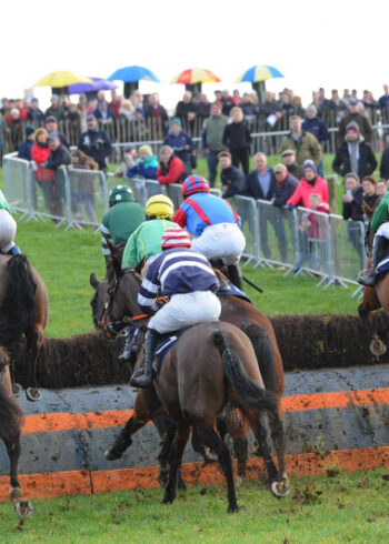 Point to Point Horse Races in Tinahely