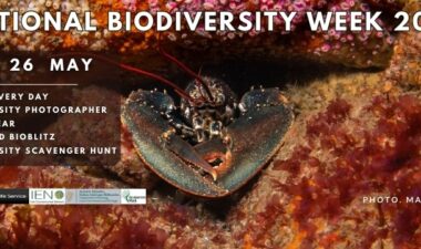 National-Biodiversity-Week