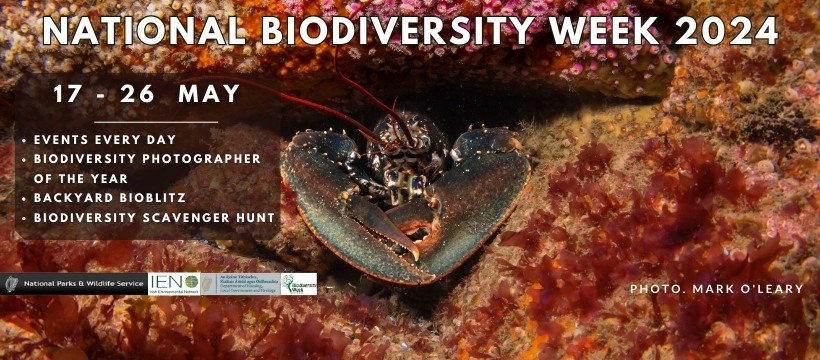 National Biodiversity Week 2024