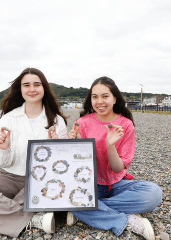 Wicklow Pebble Present for Taylor Swift