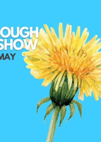 Wild – The RHSI Russborough Garden Show