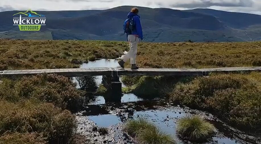 Wicklow Way 5