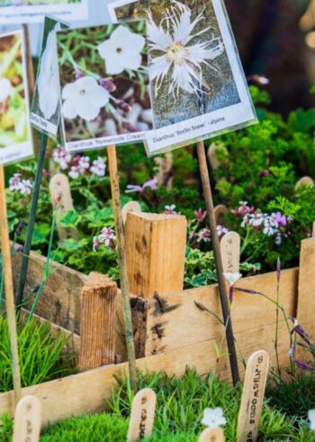 Wild – The RHSI Russborough Garden Show