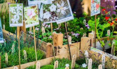 garden-show-russborough