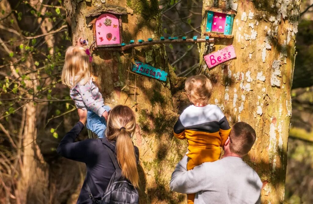 Russborough Fairy Blog pic