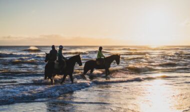 Horseriding
