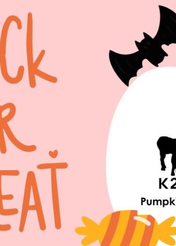 K2Aplacas Pumpkin Patch Experience 2025