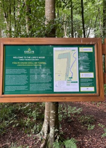 The Lord’s Wood