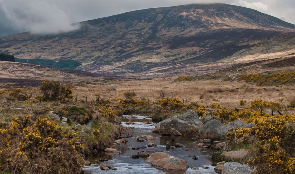 wicklow mountains 2