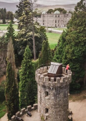 Wonder of Trees – Samhain Tree Experience Returns to Powerscourt
