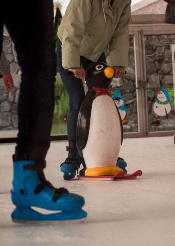 Wicklow on Ice – Rathdrum 2025