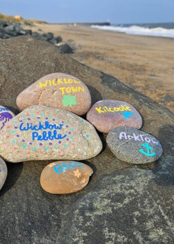 Guide to your Epic Wicklow Coastal Drive