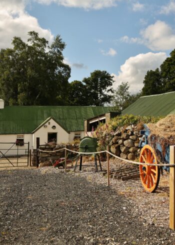 Cullen’s Sheep Farm, Glendalough, Co. Wicklow