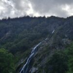 Wicklow Ambassador Iwona 1