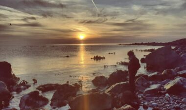 Wicklow Ambassador Iwona 2