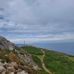 Wicklow Ambassador Iwona 7