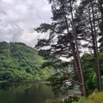 Wicklow Ambassador Iwona 8