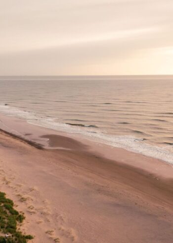 Planning a Summer Visit to Wicklow