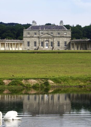 Plan the Perfect Mother’s Day