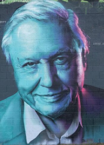 David Attenborough 100 Years Mural Arklow