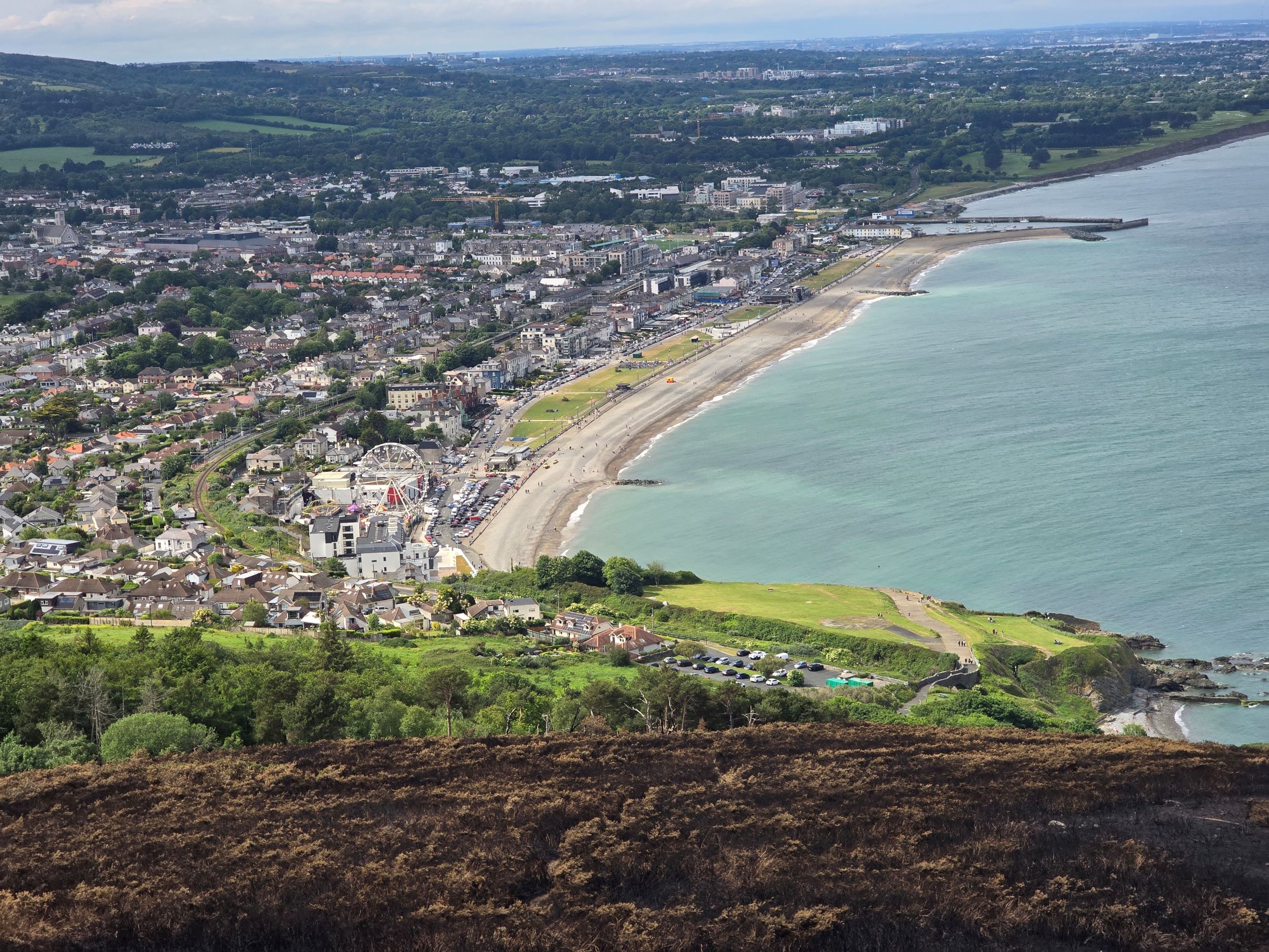 Bray