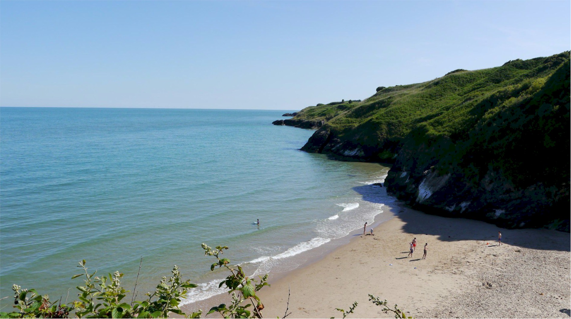 silverstrand-wolohan2