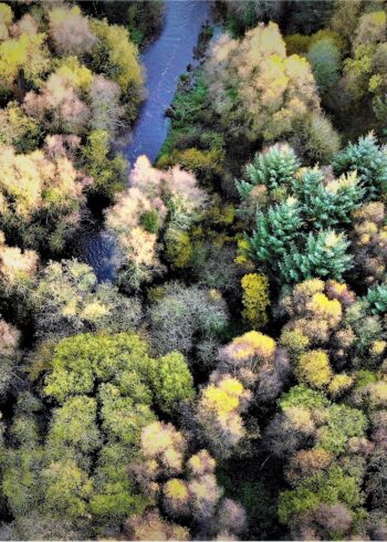 Explore Wicklow This Autumn: The Ultimate Guide to Scenic Walks & Forests
